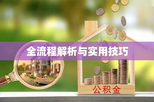 岑巩全流程解析与实用技巧