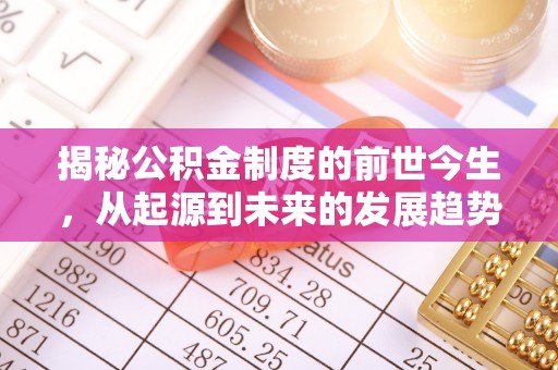 岑巩揭秘公积金制度的前世今生，从起源到未来的发展趋势