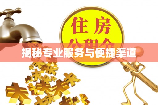岑巩揭秘专业服务与便捷渠道