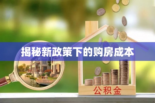 岑巩揭秘新政策下的购房成本
