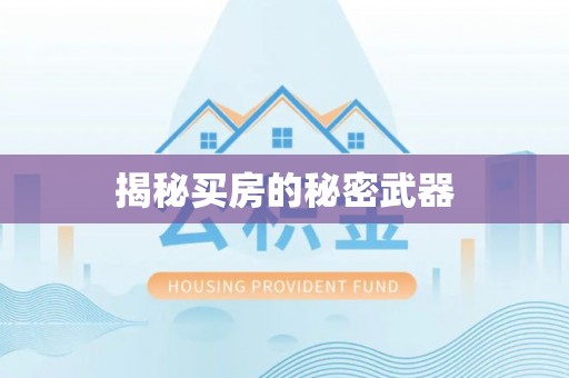 岑巩揭秘买房的秘密武器