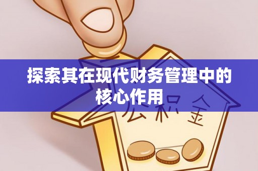 岑巩探索其在现代财务管理中的核心作用