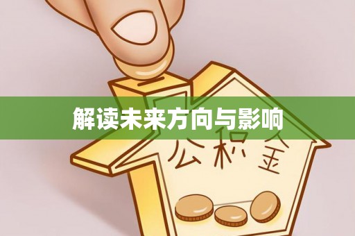 岑巩解读未来方向与影响