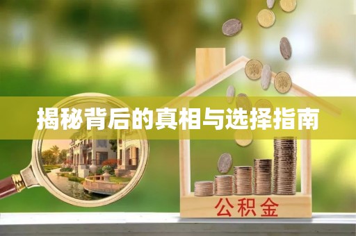 岑巩揭秘背后的真相与选择指南