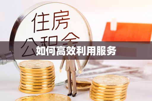岑巩如何高效利用服务
