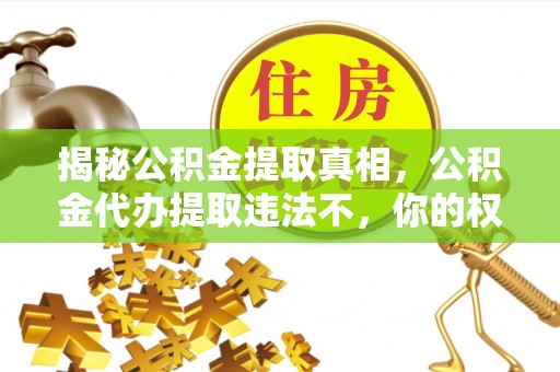 岑巩揭秘公积金提取真相，公积金代办提取违法不，你的权益如何保障？