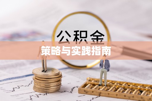 岑巩策略与实践指南