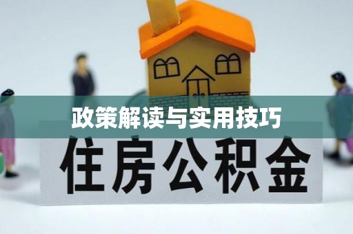 岑巩政策解读与实用技巧