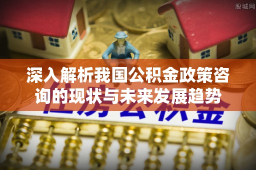 岑巩深入解析我国公积金政策咨询的现状与未来发展趋势