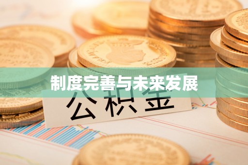 岑巩制度完善与未来发展