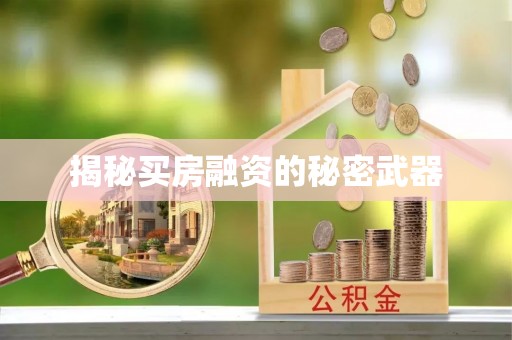 岑巩揭秘买房融资的秘密武器