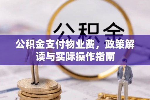 岑巩公积金支付物业费，政策解读与实际操作指南