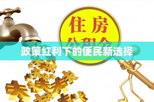 岑巩政策红利下的便民新选择