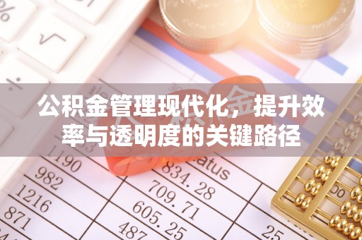 岑巩公积金管理现代化，提升效率与透明度的关键路径