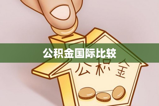 岑巩公积金国际比较
