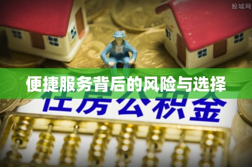 岑巩便捷服务背后的风险与选择