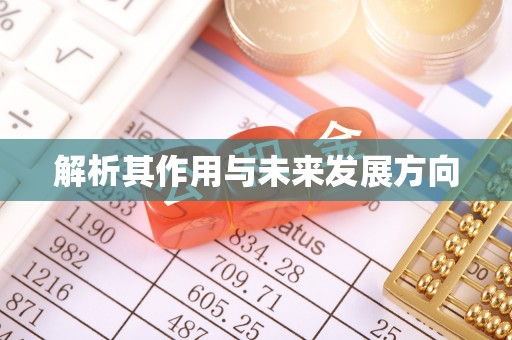 岑巩解析其作用与未来发展方向