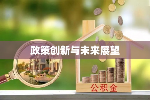 岑巩政策创新与未来展望